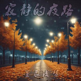 寂静的夜路