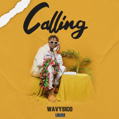 Calling | Boomplay Music