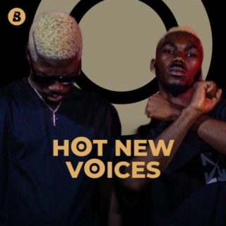 Hot New Voices