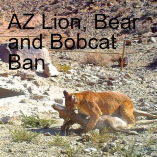 AZ Lion, Bear and Bobcat Ban