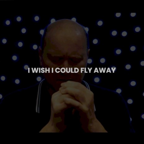 I Wish I Could Fly Away | Boomplay Music