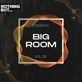 Nothing But... Essential Big Room, Vol. 28