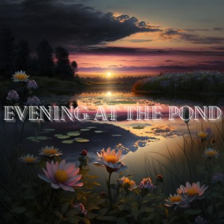 Evening At The Pond