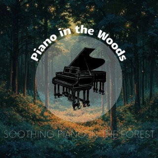 Soothing Piano in the Forest