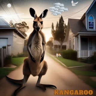 Kangaroo