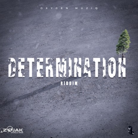 Determination (Instrumental) | Boomplay Music