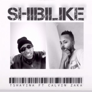 Shibilike