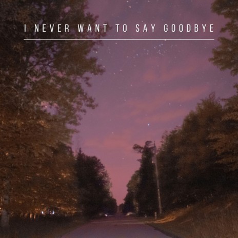 I Never Want to Say Goodbye | Boomplay Music