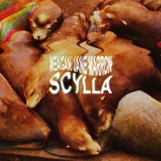 Scylla