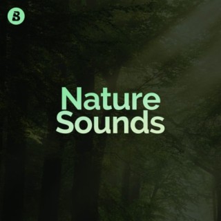 Enjoy the pure sound of nature