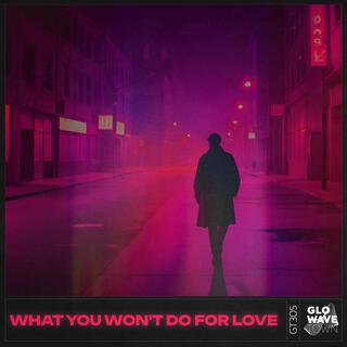 What You Won't Do For Love (Techno)