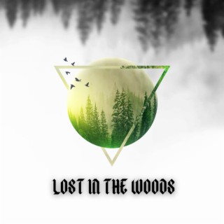 Lost in the Woods