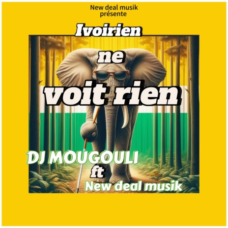 Ivoirien Ne Voit Rien ft. DJ MOUGOULI | Boomplay Music
