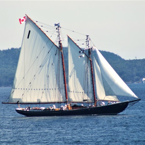 The Pride of Nova Scotia (The Bluenose)