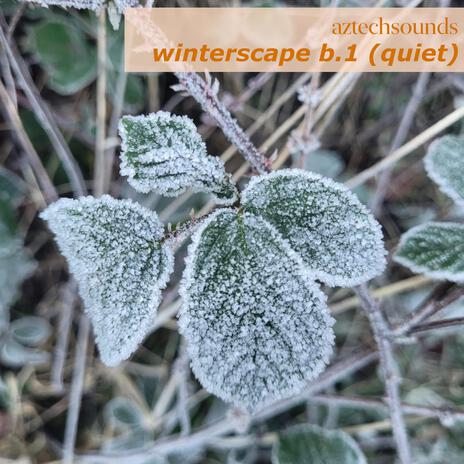 winterscape b.1 (quiet) | Boomplay Music