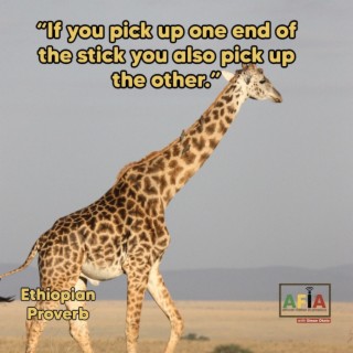 If You Pick Up One End of The Stick You Also Pick Up The Other | African Proverbs | AFIAPodcast