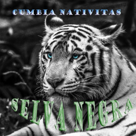 Cumbia Nativitas