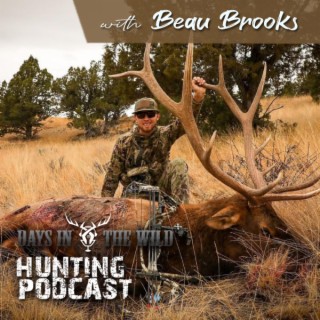Elk Calling Like A Champion with Beau Brooks