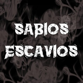 Sabios escavios