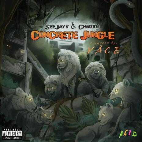 Concrete Jungle ft. Chikodi | Boomplay Music