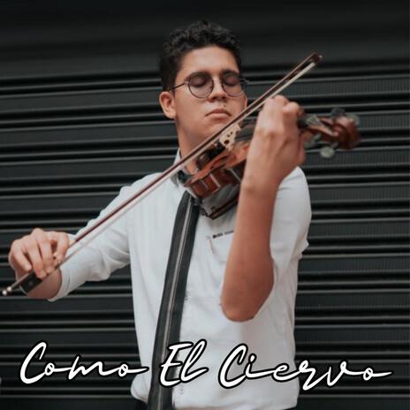 Como El Ciervo | Boomplay Music