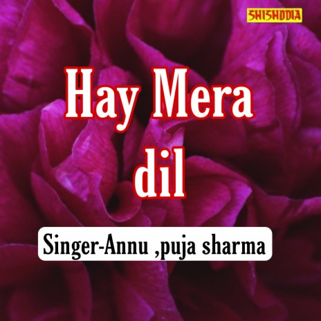 Hay Mera Dil ft. Pooja Sharma | Boomplay Music