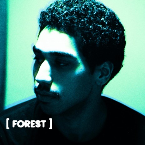 FOREST | Boomplay Music