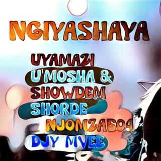 NGIYASHAYA (Djy Mvee Remix)