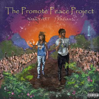 The Promote Peace Project