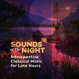 Sounds of the Night: Introspective Classical Music for Late Hours