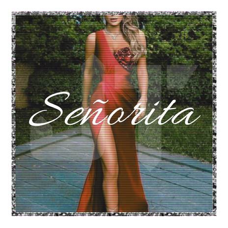 Señorita | Boomplay Music