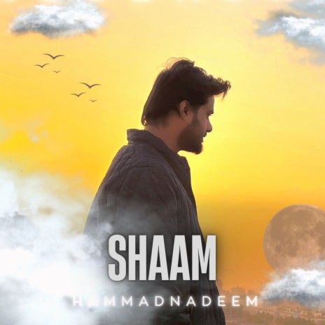 Shaam | Boomplay Music