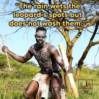 The rain wets the leopard’s spots but does not wash them | AFIAPodcast