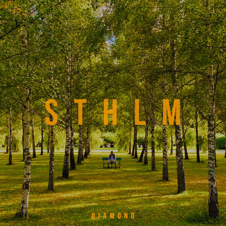 Sthlm | Boomplay Music