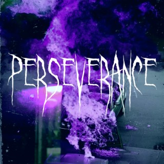 Perseverance