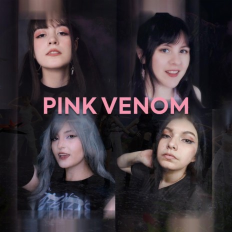 Pink Venom | Boomplay Music
