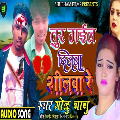 Tu Gail Dilwa Shilwa Re | Boomplay Music