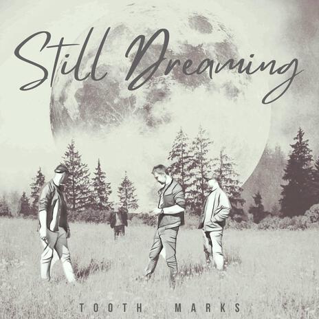 Still Dreaming | Boomplay Music