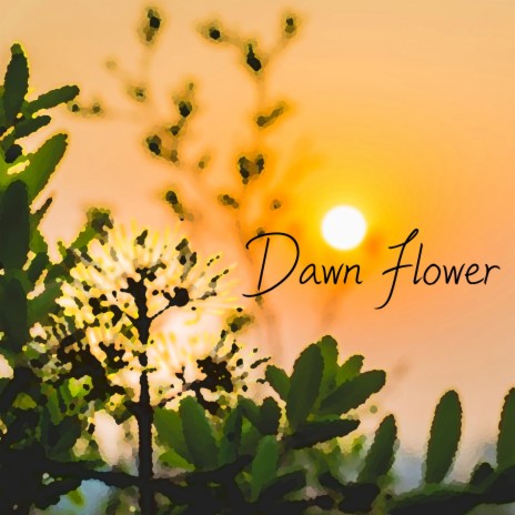 Dawn Flower | Boomplay Music