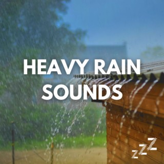 Heavy Rain on Tin Roof (Loopable - No Fade)