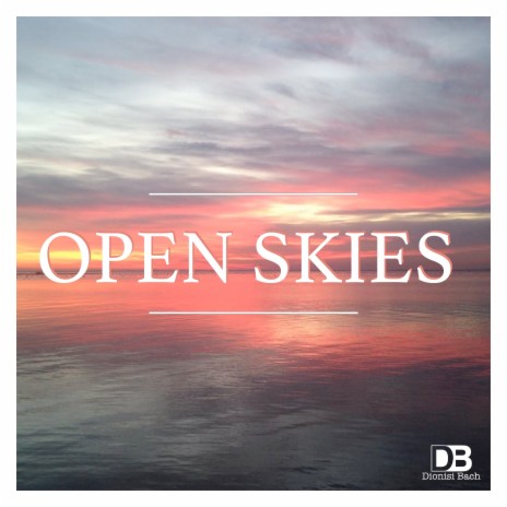 Open Skies | Boomplay Music