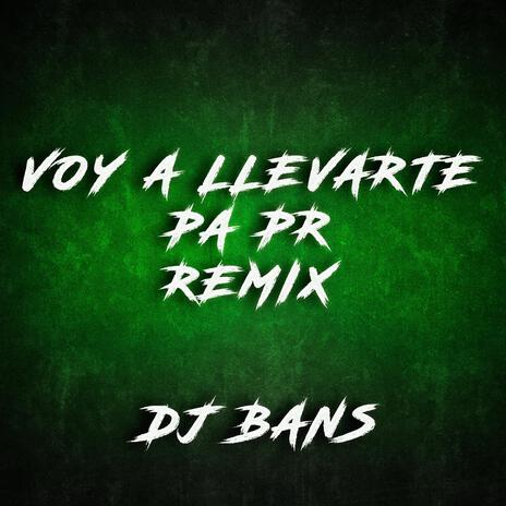 VOY A LLEVARTE PA PR (TURREO EDIT) | Boomplay Music