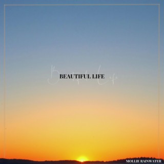 Beautiful Life lyrics | Boomplay Music