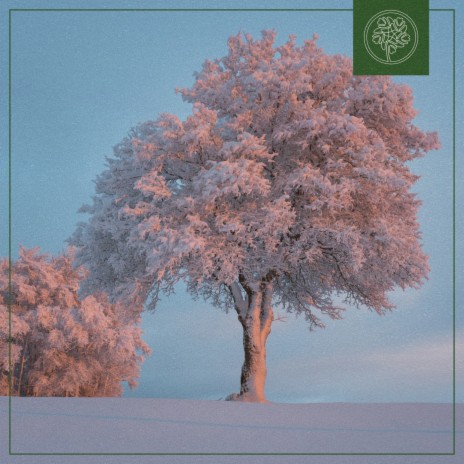 Alright ft. Beats for Trees | Boomplay Music