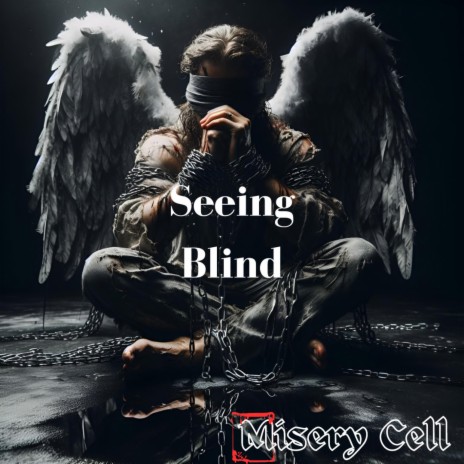 Seeing Blind | Boomplay Music