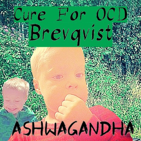 Ashwagandha | Boomplay Music