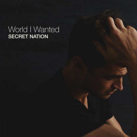 World I Wanted | Boomplay Music