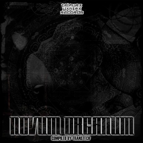 Novum Organum | Boomplay Music