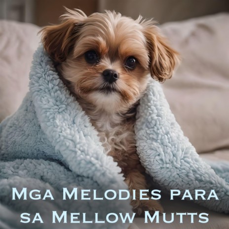 Kantang pampatulog ft. Iridis & Soothing Dog Sounds | Boomplay Music