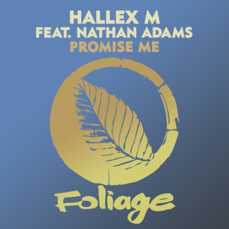 Promise Me (Vocal Mix) ft. Nathan Adams | Boomplay Music